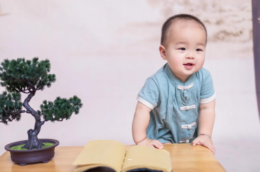 运城可爱的企鹅宝宝
